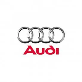 Linka gazu Audi 100 (431 721 555C)