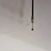 Bonnet release cable Jaguar X-Type