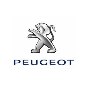 Linka zmiany biegów Peugeot 1007 1.4D kr.