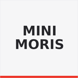 Linka gazu Mini Morris MINI